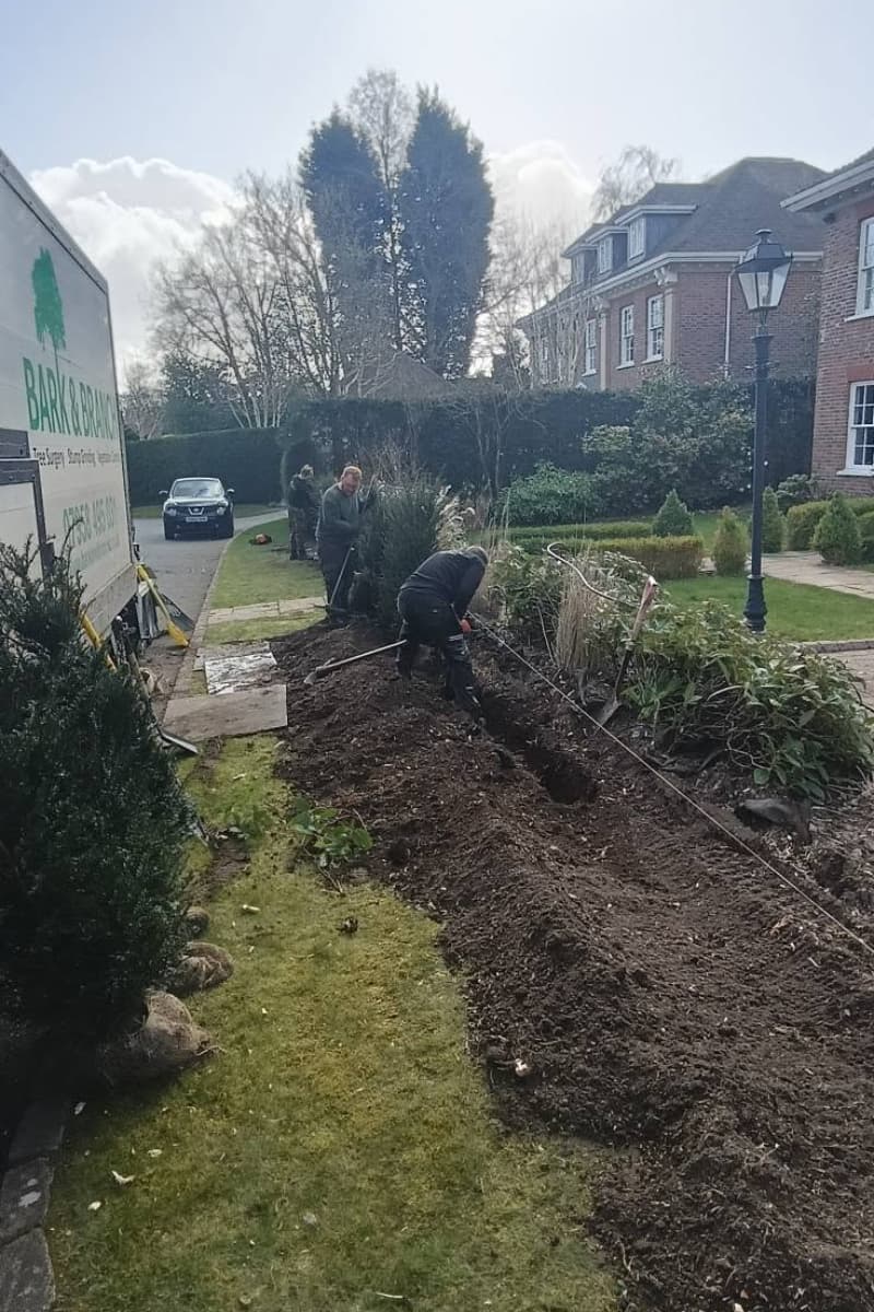 Planting new yew hedging at a property in Prestbury