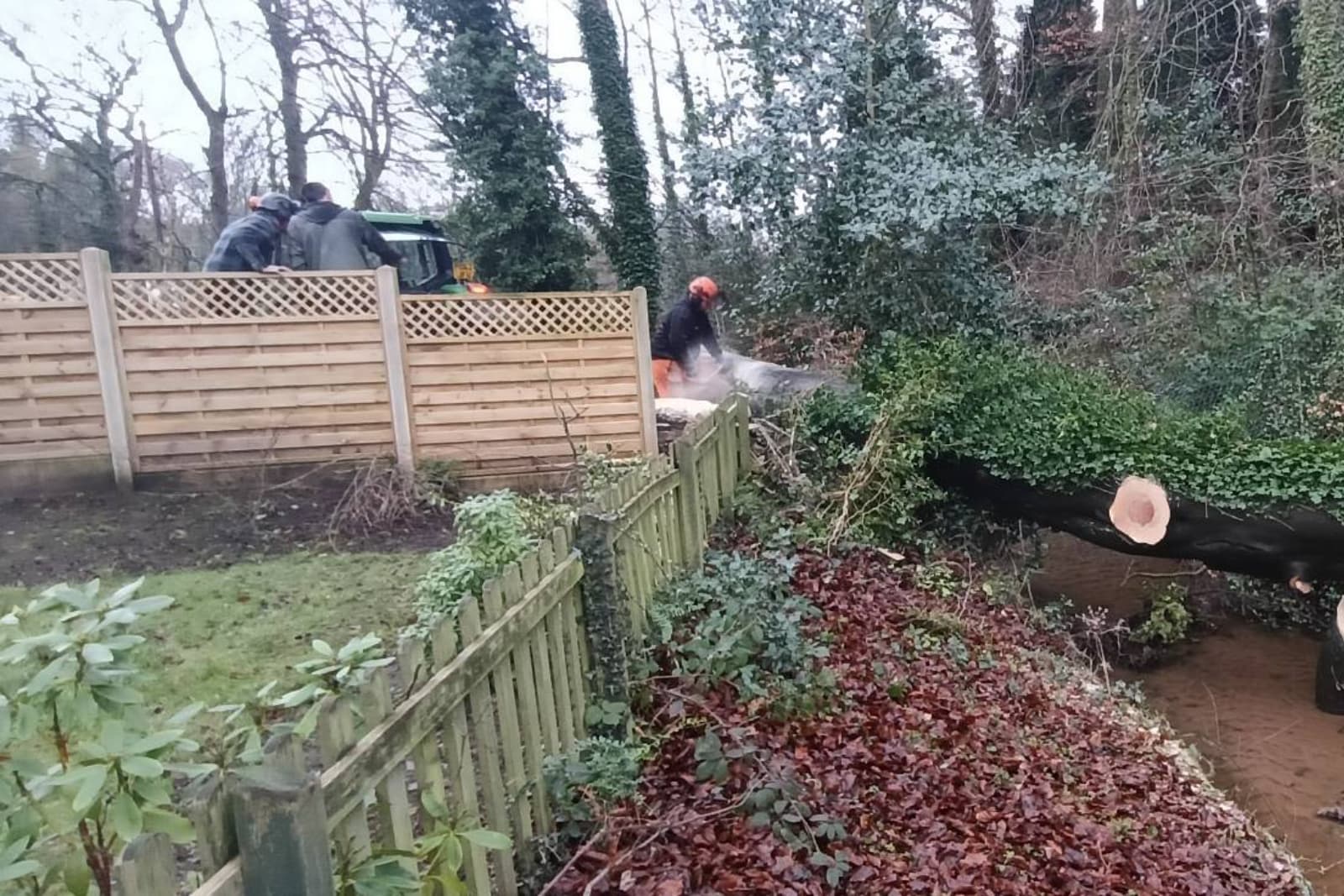 Removing a fallen free in Hyde