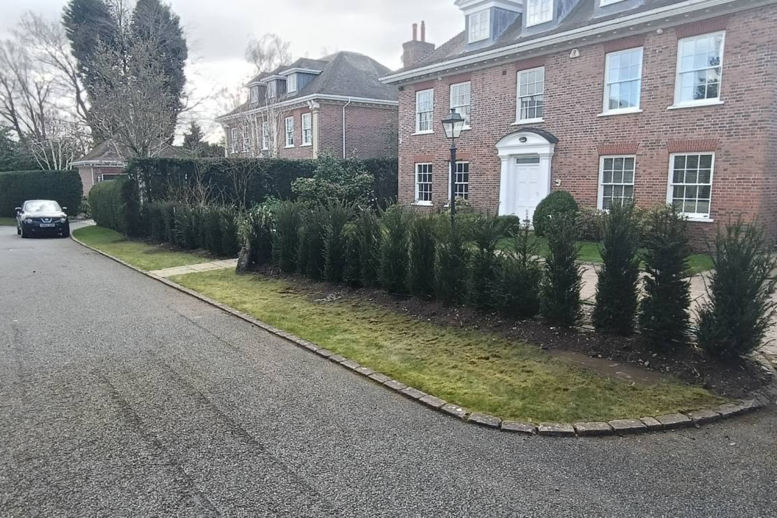 New yew hedging at a property in Prestbury
